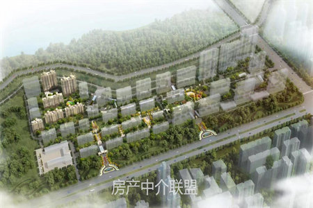 单价5000买碧桂园上下三层复式房送地下室送院子